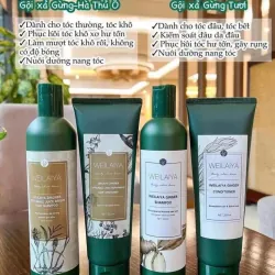 Cặp dầu gội gừng Wailaiya trắng + nâu 