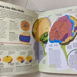 How the body works: hiểu hết về cơ thể 537331