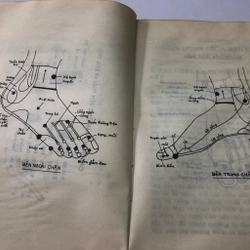 BẤM HUYỆT NƠI BÀN CHÂN ( sách dịch) 283115