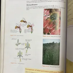 Standard Grade Biology – Sách Sinh học chuẩn chương trình Anh 933903