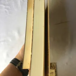 Mekong Phù Sa Phiêu Bạt - Khải Đơn & Đầm Lầy - David Biggs 1007165