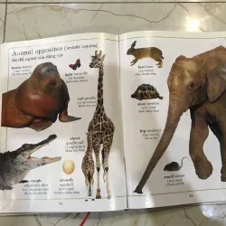 Từ điển động vật bằng hình  748516