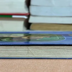 Cây tre trăm đốt 🌊 600559