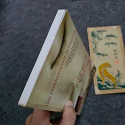 Sững sờ và run rẫy 734643