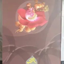 Niệm Phật Tông Yếu 733786