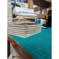 Truyện tranh con mèo trên gác xếp 465555