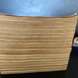 truyện tranh Bá tước tiểu thư (tên gốc: The Countess)  996319