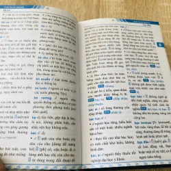 TỪ ĐIỂN TIẾNG VIỆT THÔNG DỤNG DÀNH CHO HỌC SINH  1000546