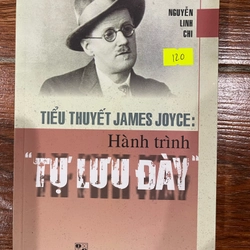 Tiểu thuyết James Joyce: Hành trình tự lưu đày (9)