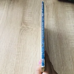 CÁC NHÂN VẬT LỊCH SỬ TRUNG ĐẠI PHÁP 1027821