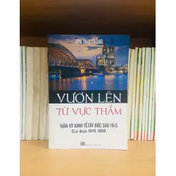Vươn lên từ vực thẳm