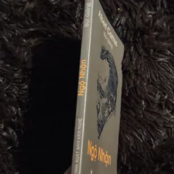 Ngộ nhận (Bùi Giáng dịch) 738122