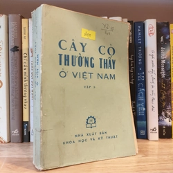 CÂY CỎ THƯỜNG THẤY Ở VIỆT NAM