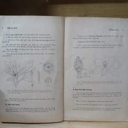 HIỂN HOA BÍ TỬ (XB 1975) - PHẠM HOÀNG HỘ 543670