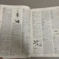 Từ điển Larousse (Pháp)  675184