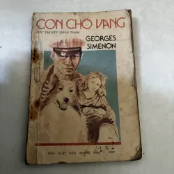 Con chó vàng
