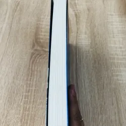 KHỞI NGHIỆP LÃNG MẠN VÀ THỰC TẾ 996151