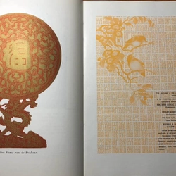 Việt Nam d'Hier et d'Aujourd'hui - THÁI VĂN KIỂM 444284