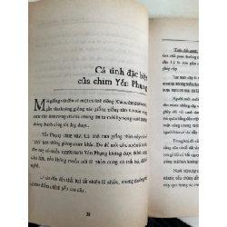 Nghệ thuật nuôi chim: chim yến phụng - Việt Chương