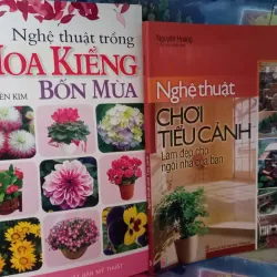 nghệ thuật trồng hoa kiểng bốn mua 1025348