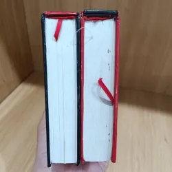 Nhạc phi diễn nghĩa bìa cứng  1031688