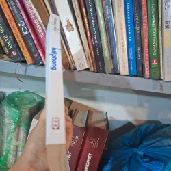 Trường thơ Hải Phòng 999295