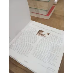 Loose dust blowing against the mountain - Helen Savory 715098