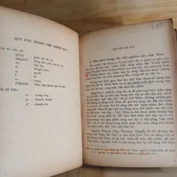 Loại Hình Các Ngôn Ngữ & Nghiên Cứu Về Chữ Nôm 736945