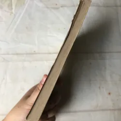 Diệp Gia - Triệt Dạ Lưu Hương 800223