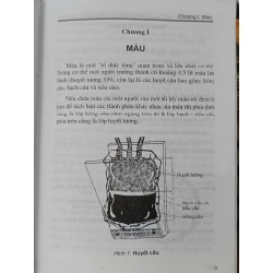 Máu, truyền máu, các bệnh máu thường gặp - PGS.TS. Thái Quý 536210