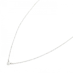 Dây chuyền Tiffany By The Yard - Hàng hiệu Authentic 840754