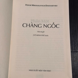 Chàng ngốc (bìa cứng, đọc mô tả) 537181
