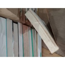 Tiếng Việt cho người nước ngoài - Nguyễn Anh Quế 420583