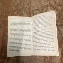 RAPTURE- LAUREN KATE 763068