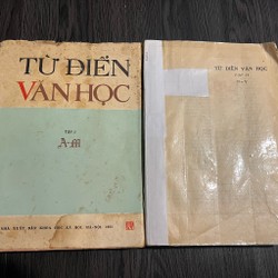 Bộ 2 cuốn từ điển Văn Học (Sách bao cấp)