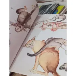 Possum Magic - Mem Fox, Julie Vivas 593873