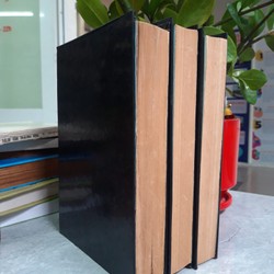 THỦY HỬ - TRẤN TUẤN KHẢI 185704