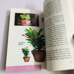 KỸ THUẬT TRỒNG & KINH DOANH KIỂNG XƯƠNG RỒNG, XƯƠNG RỒNG BÁT TIÊN, SỨ THÁI LAN  595103