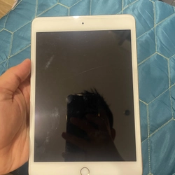 Ipad mini4 328429