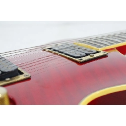 ＡＲＩＡ ＰＲＯ ＩＩ ＰＥ－１０００ＴＲ - Hàng hiệu Authentic 879301