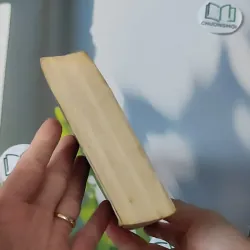 [MIỄN PHÍ BỌC SÁCH] Win: If You Lose You Die - Harlan Coben 1027175