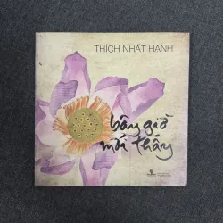 Bây giờ mới thấy - Thích Nhất Hạnh