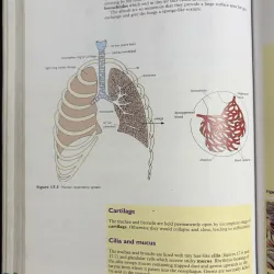 Standard Grade Biology – Sách Sinh học chuẩn chương trình Anh 933903