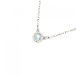 Dây chuyền Tiffany By The Yard - Hàng hiệu Authentic 842248