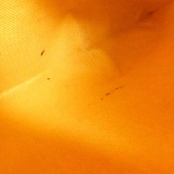 Túi Goyard Voltaire AMA VOLTAIRE 616932