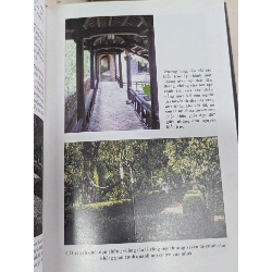 Nhà vườn xứ huế - Nguyễn Hữu Thông 785949