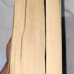 MUA 1 TẶNG 1: Lynda La Plante (The prime suspect cases) + Judas horse 732542