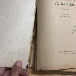 II Sách Y: Bệnh Học _ Bào Thai Và Sơ Sinh (Tập 2) - J. EDGAR MORISON - 1979 682253