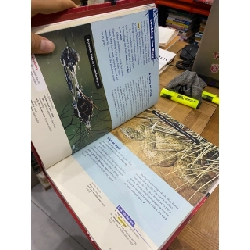 Inside : Language | Literacy | Content 450262
