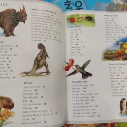 Tủ Sách Tri Thức Bách Khoa Bằng Hình - Thế Giới Động Vật | mới 100% bìa 350 1052778